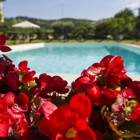 La Casa Sul 2* Magione