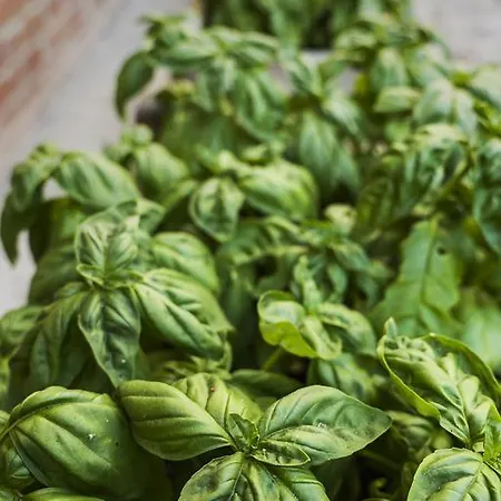 La Casa Sul Hotel Magione