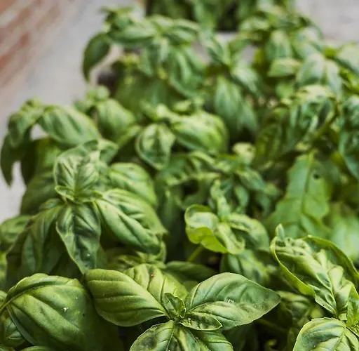 La Casa Sul Hotel Magione